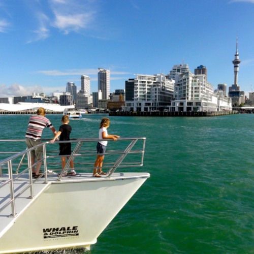 Stream Top 10 things to do in New Zealand by Indie Travel Podcast