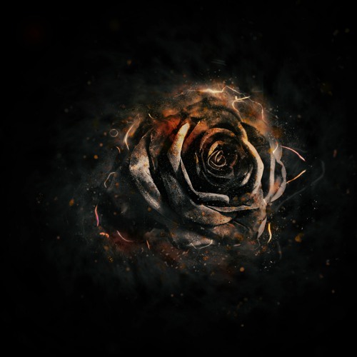 Drchamploo - Northern Light