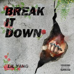 Break It Down