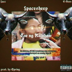 $pacesheep // Tae ng Kalabaw