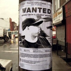 Bronx Queens Connect - Shawn Black, Sadat X & Willie Stubz