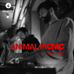 Animal Picnic - Kinetika w/ Animal Picnic @ Kvartira (Moscow) - March2018