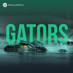 Gators - Demo