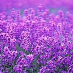 ماهر زين - هو القرآن -  فسيروا 2 مع فهد الكندري -  Maher Zain - Faseero 2