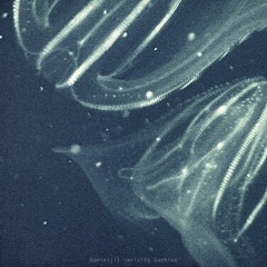 Saebius - Water Memories (Daniel[i] Green Dub)