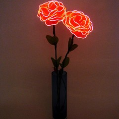 watch it all come true