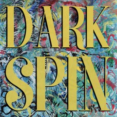 Dark Spin