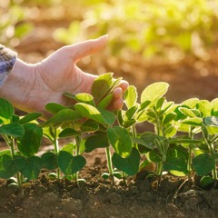 GMOs with Mark Lynas