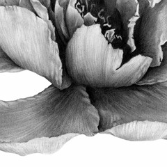 Spring playlist, vol.2