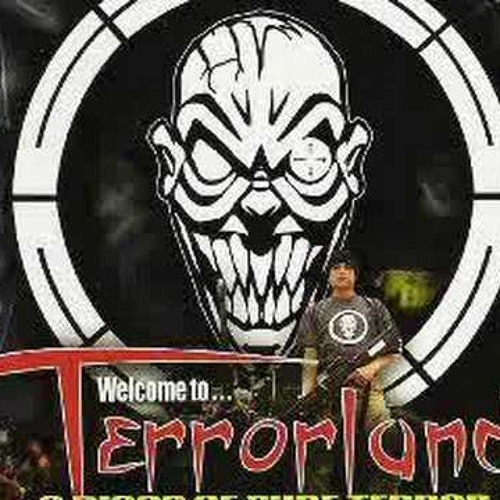 Sonic Overkill - Canario