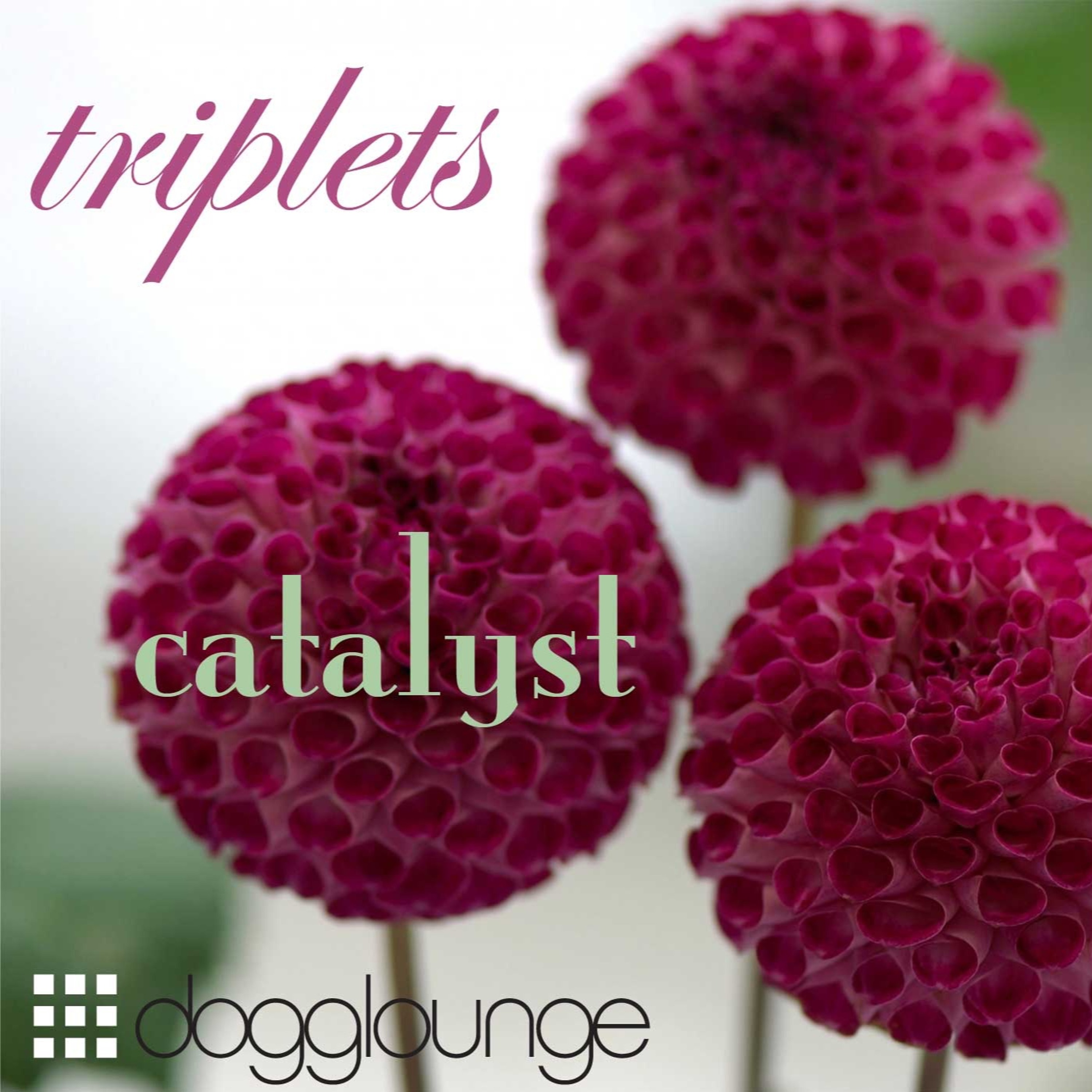 cover of episode Triplets (live from dogglounge.com)