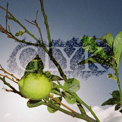 GLYKMIX8 / Vanessa Bettina – Hallosommer.mp3