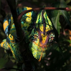 JEKH for Open Your Mouth |  Sunny Days mix