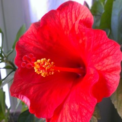 once we called it chill