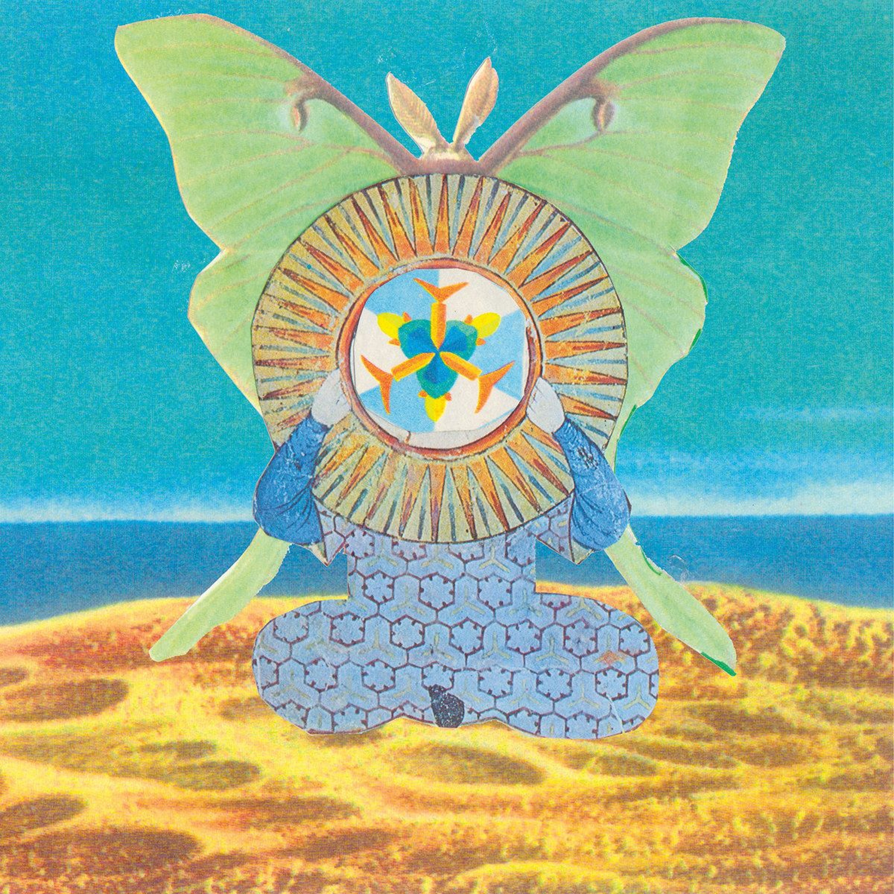 The Skygreen Leopards "I Fell Asleep In The Sunbleached Grass (I'll Just Pass Away)" episode artwork