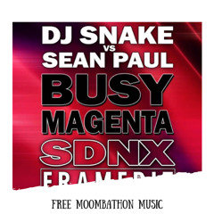 DJ Snake Vs Sean Paul - Busy Magenta (SDNX FRAMEDIT)