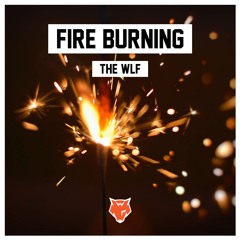 Fire Burning (Feat. Mr Shammi)