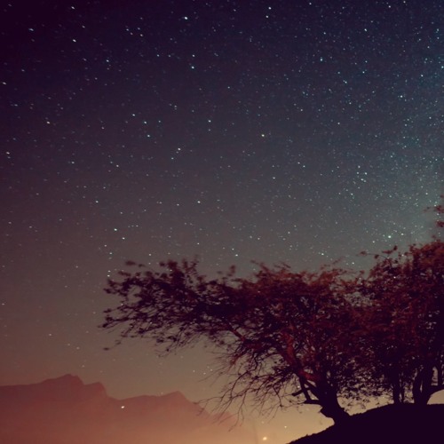 Simon Chauvin - No Planet B