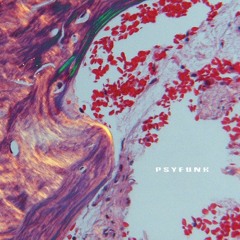 Alan Castro - Ciderfunk EP (Psyfunk 004) [Coming Soon]