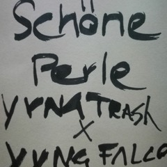 schöne perle - plusminus x Yung Falco