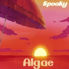 "Algae" ft. Denny Balance (Prod. Origami)