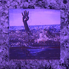 $UICIDEBOY$ WITHDRAWALS/WITHDRAWALS SLOWED