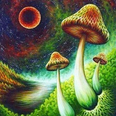 Frog - FREE DOWNLOAD