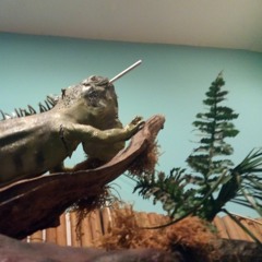 Jamaican Party Time Presents: What it do