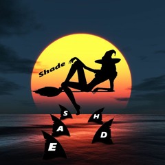 Shade (ft. Lull Swayy)[prod. by Roman RSK]