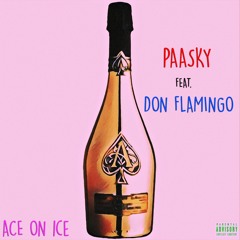 Paasky & Don Flamingo 'Ace on Ice'
