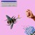 Artwork for Honey