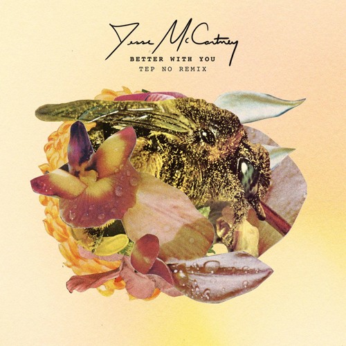 Jesse McCartney - Better With You (Tep No Remix)