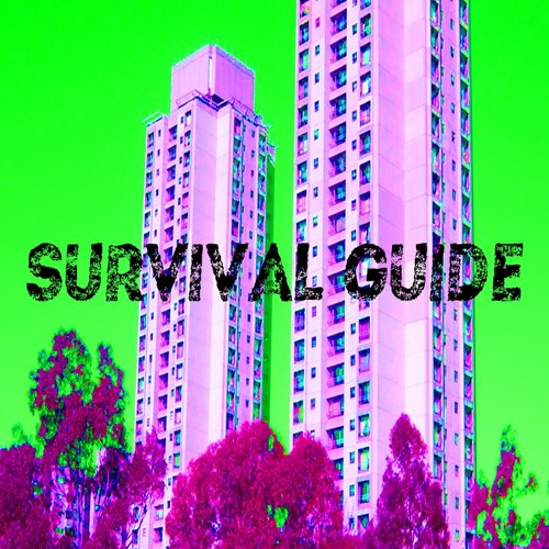 SURVIVAL GUIDE #1: Leave Your Fragility At The Shore