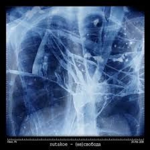 Nutakoe - Тело В Тени