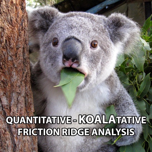 Categorical vs. Probabilistic