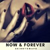 Drake Now And Forever Skinnymix Mp3