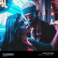 Aires V - That's My Boy (Original Mix) Free DL'