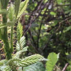 Croquis électronique au bord d'un terrain vague