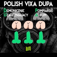 09. Polish Vixa Dupa - Pierwszy Track Redaktora (Original Mix)
