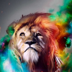 ManYao Electro DJ LeoN