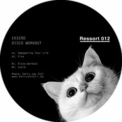Ekserd - Disco Workout [RSI012 | B1 | Premiere]