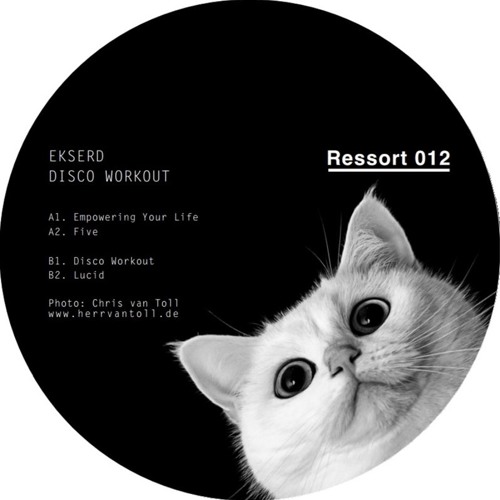 Ekserd - Disco Workout [RSI012 | B1 | Premiere]
