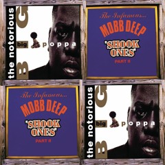 Shook Poppa (Casual Connection & James A Rework)**Download**