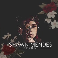 Shawn Mendes - Youth(Acapella)
