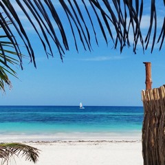 Bleverly Hills - O.T.V. (prod. Blev)