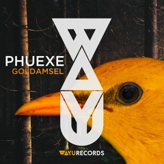 PHUEXE - Regentage (Original Mix) [Preview]