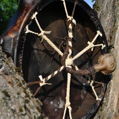 shaman drum