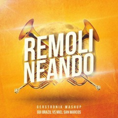 Remolineando (Gerstronik Mashup)- Miel San Marcos vs Gui brazil