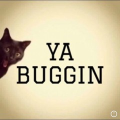 Ya Buggin