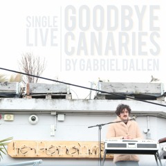 Goodbye Canaries - Single Live